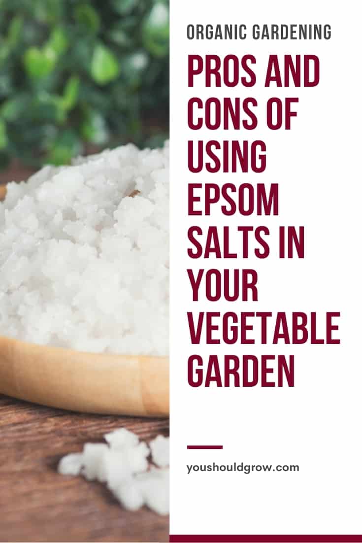 What is Epsom salt, and what are the uses of Epsom salt in the garden? Get the answers to your questions here.