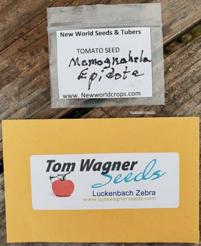 2 types of seed packets for how long do tomato seeds last