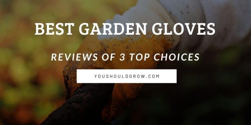 best garden gloves social share image