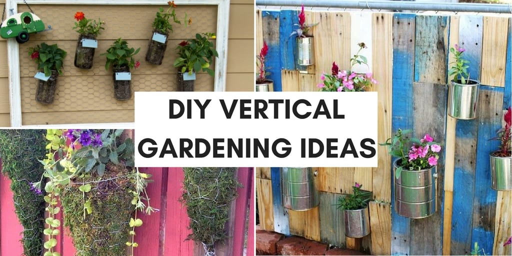 collage of plants growing vertically. text: diy vertical gardening ideas