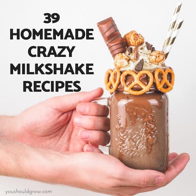 39 Homemade Crazy Milkshake Recipes