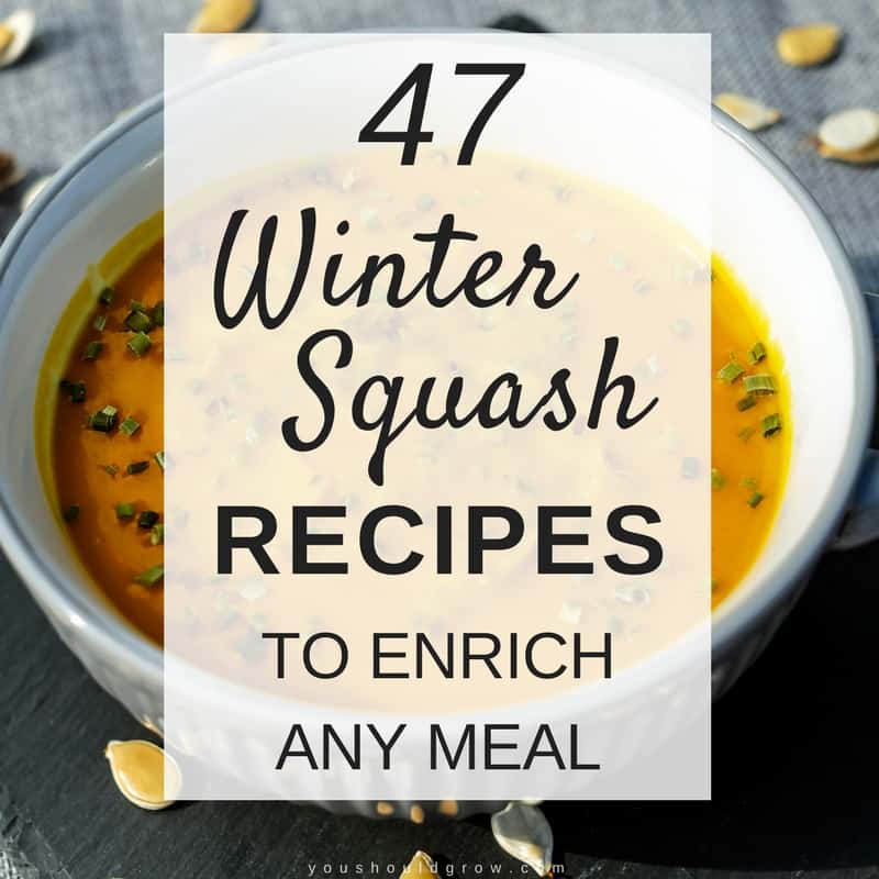 47 Winter Squash Recipes You Have To Try