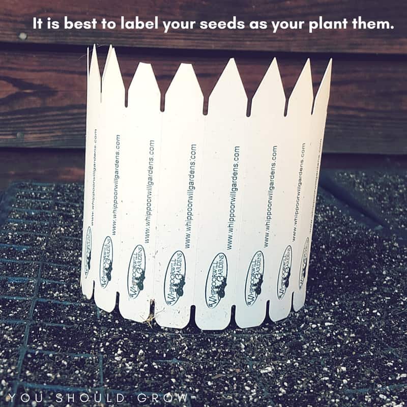 Always label your seeds as your plant them.