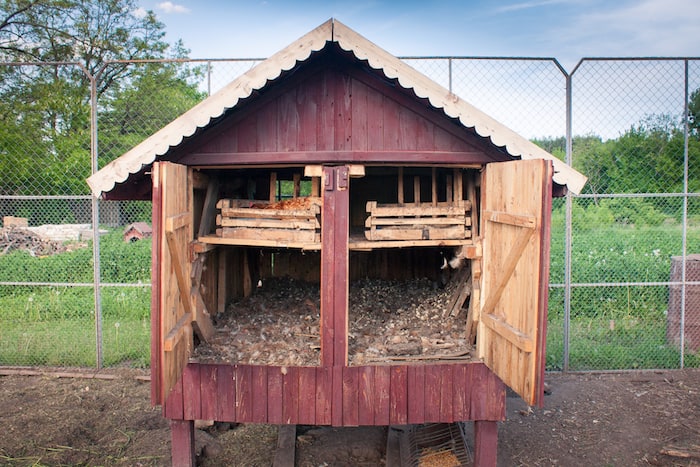 Cleaning Chicken coop deep litter method