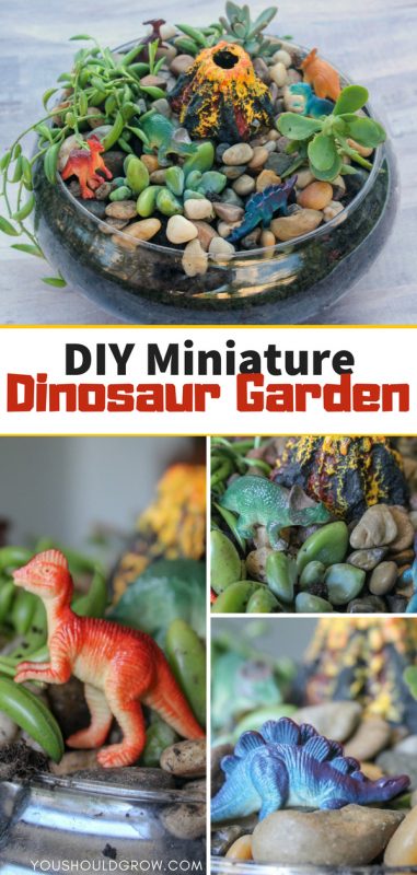 Make This Adorable Miniature Dinosaur Garden - You Should Grow