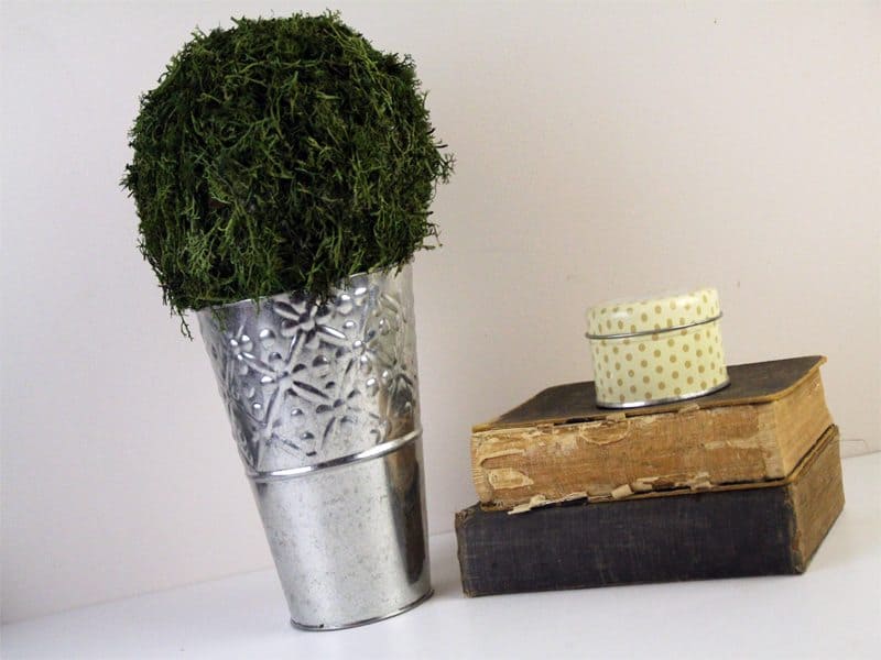 diy moss ball decor