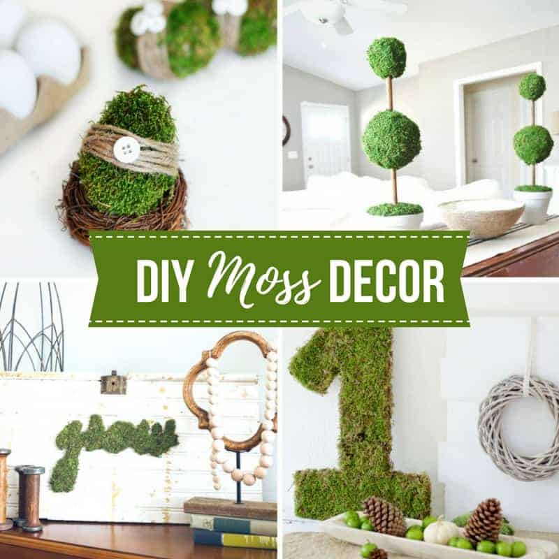 20+ DIY Moss Decor Ideas For Spring
