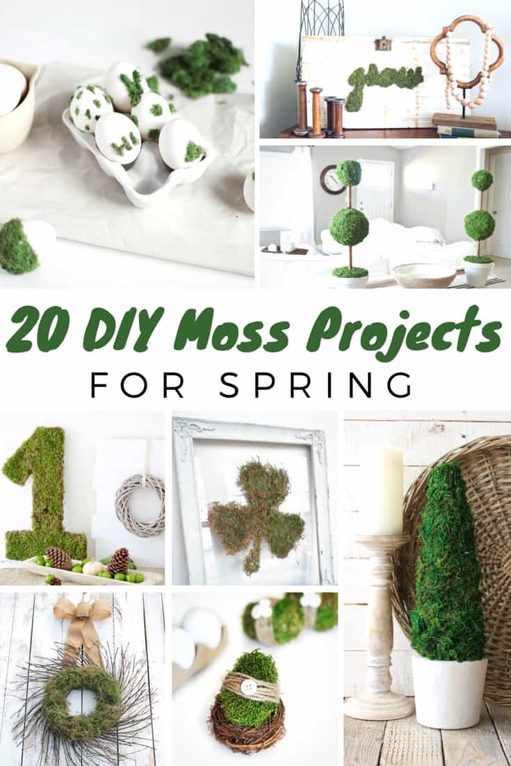 20+ DIY Moss Decor Ideas For Spring You Should Grow