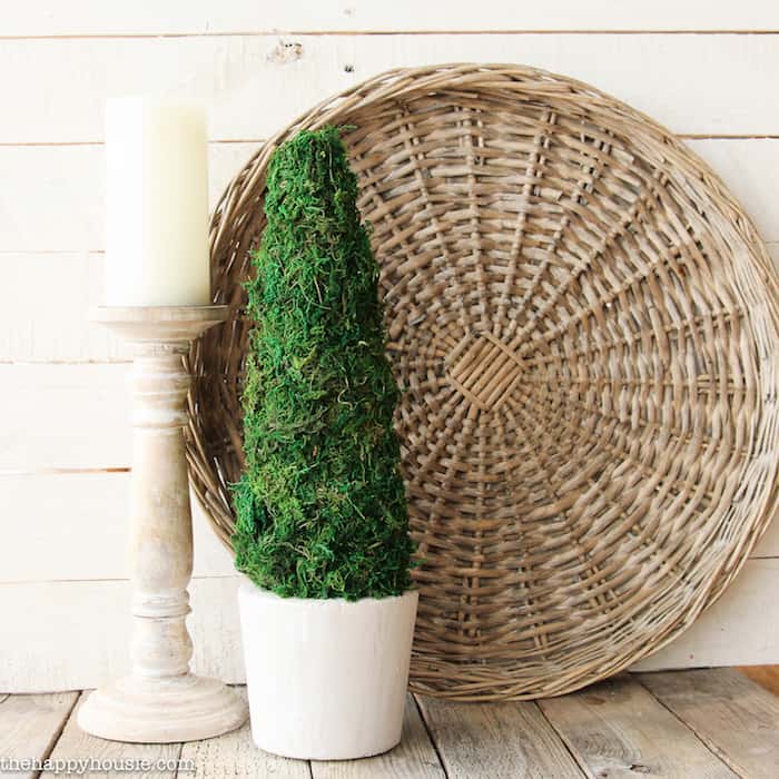 Moss decor ideas: diy topiary project