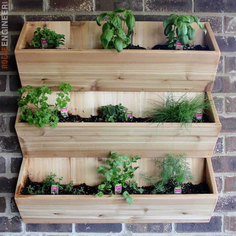 DIY Wall Planter Free Plans