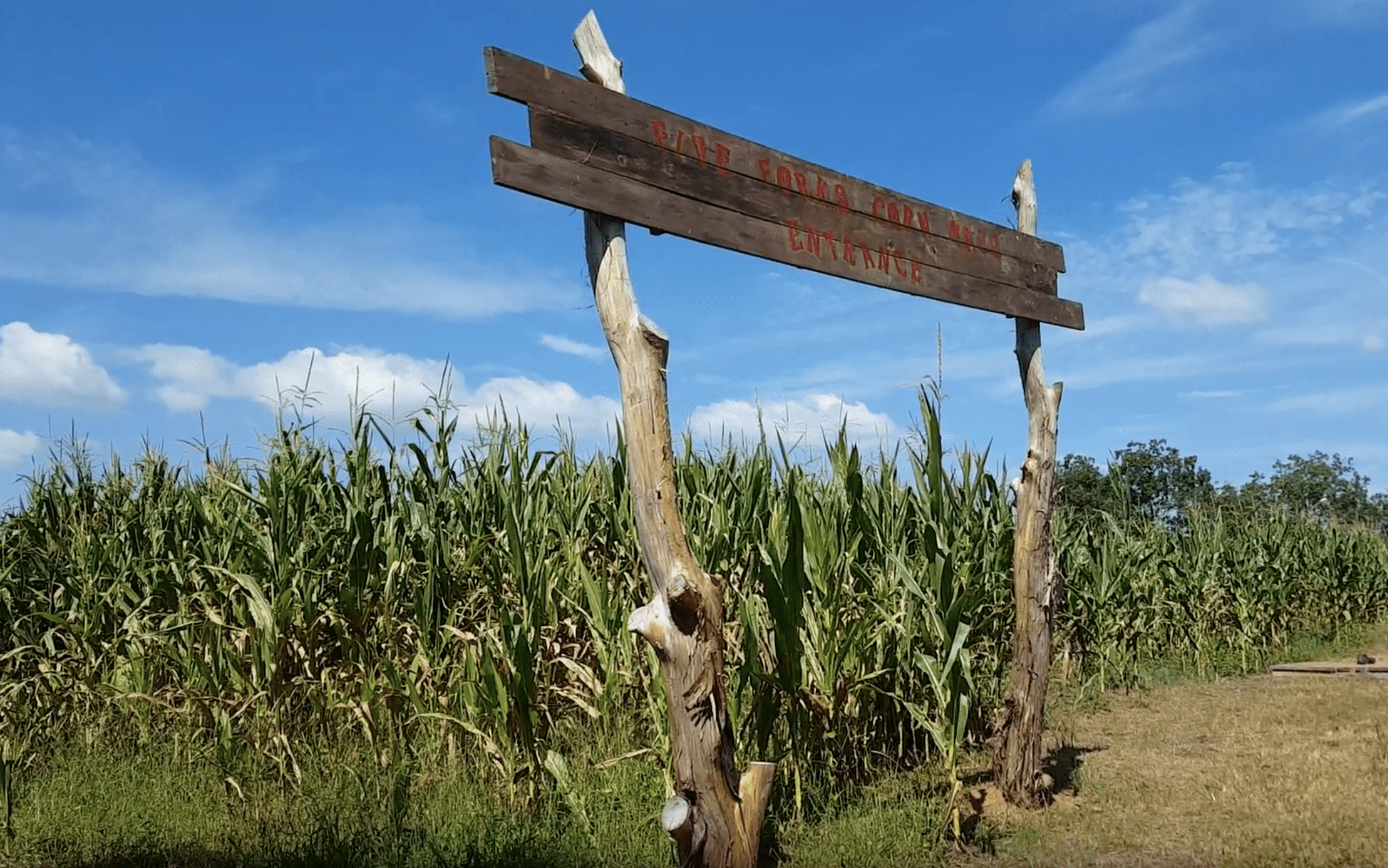 Five Forks Corn Maze Hartwell Ga