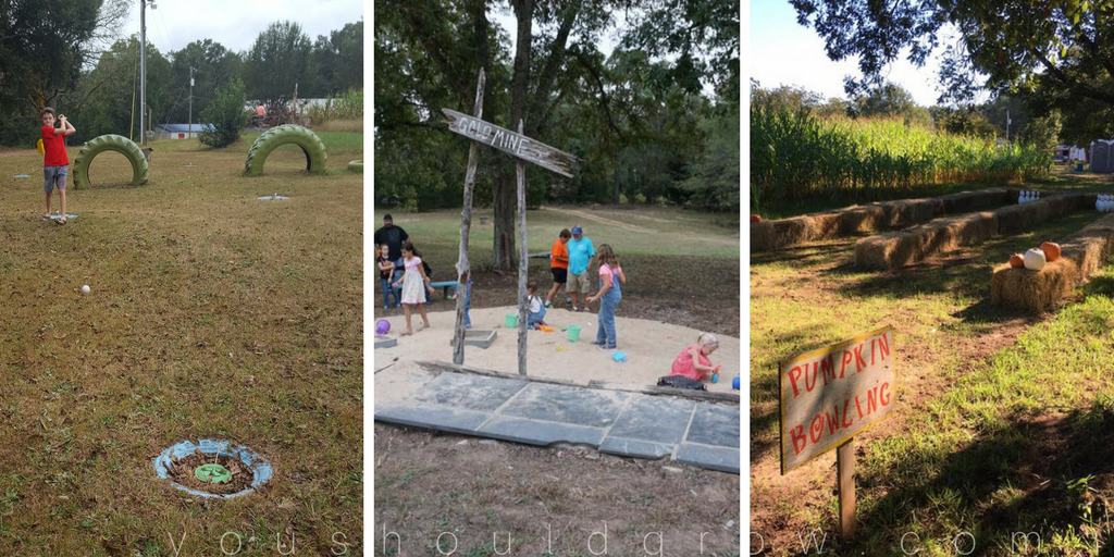 Five forks corn maze family fun