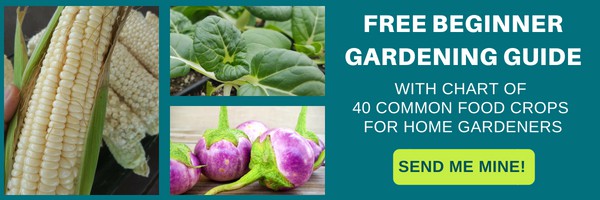 Free Beginner Gardening Guide