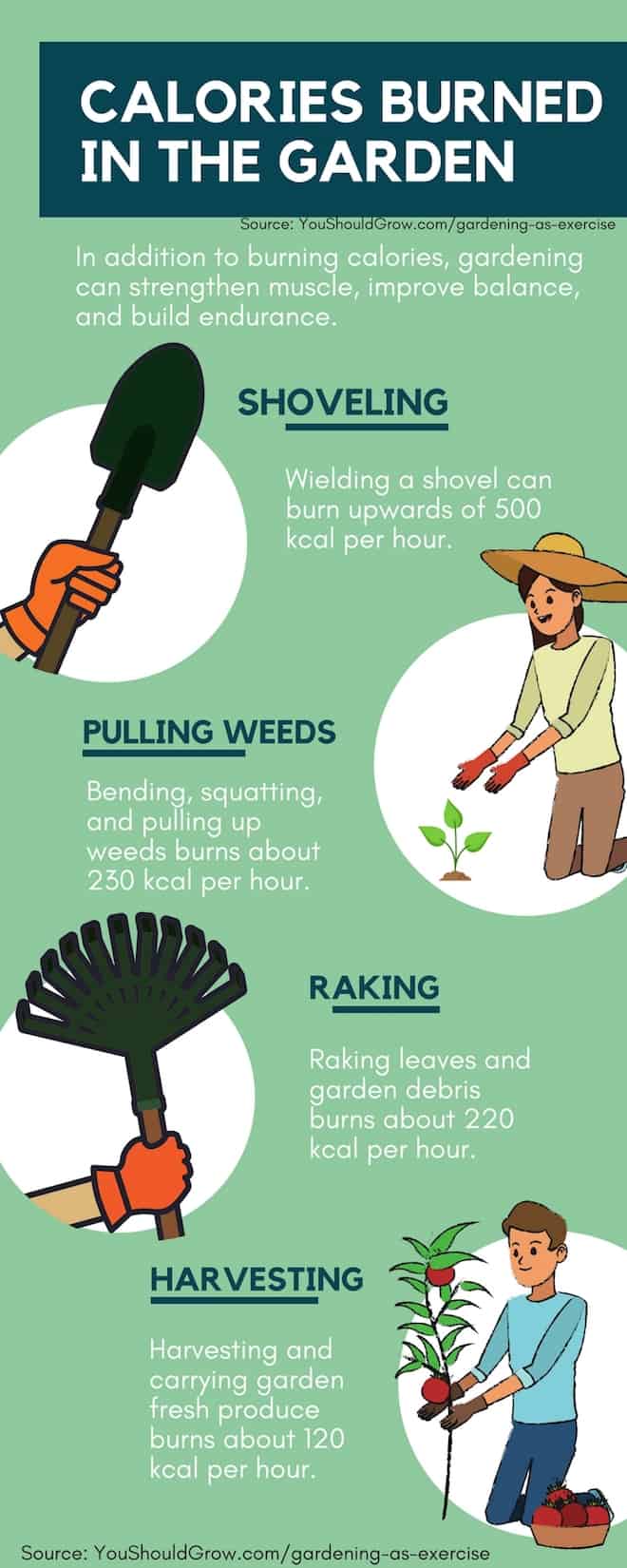 Gardening Tips: Calories burned when gardening as exercise.