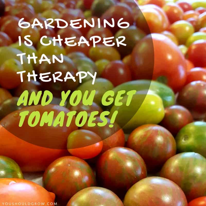 Gardening is cheaper than therapy, and you get tomatoes. Lots of tomatoes!