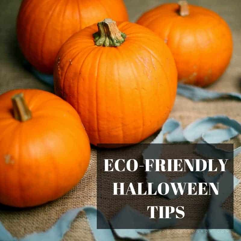 Tips To Have An Eco-Friendly Halloween