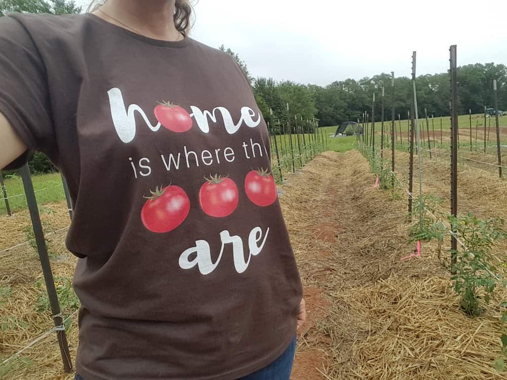 Home is where the tomatoes are