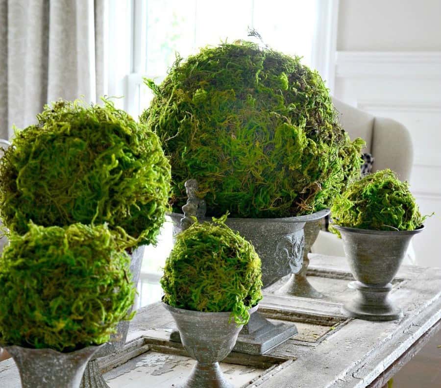 Moss decor ideas: using moss balls