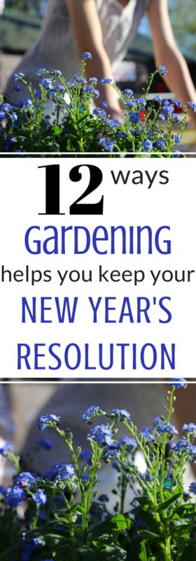 Gardening can help you keep you new year's resolution! It's true! Read the article to find out how gardening can help you be successful at making positive changes in your life.