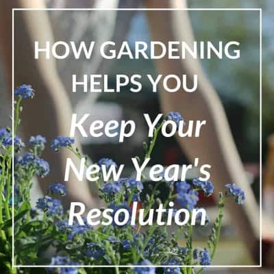 12 Ways Gardening Helps You Keep Your New Year’s Resolution