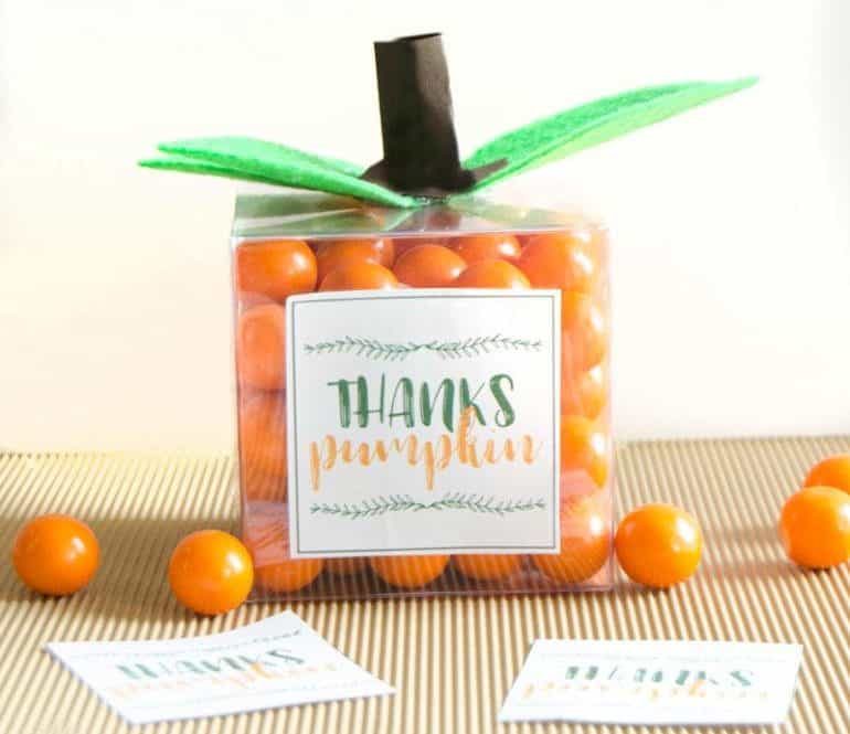Pumpkin craft party favor