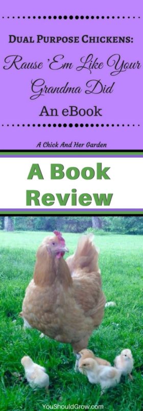 Dual purpose chickens: raise 'em like your grandma did. Book review