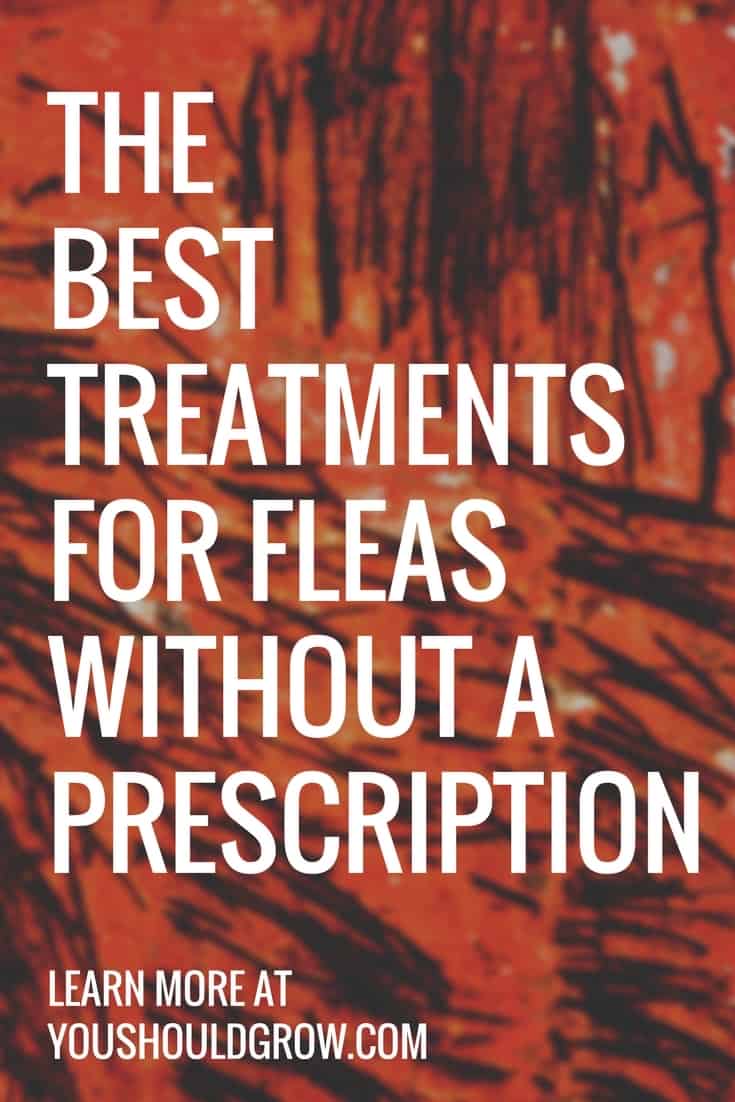 THE BESTtreatments for fleas without a prescription white text on red and black background.