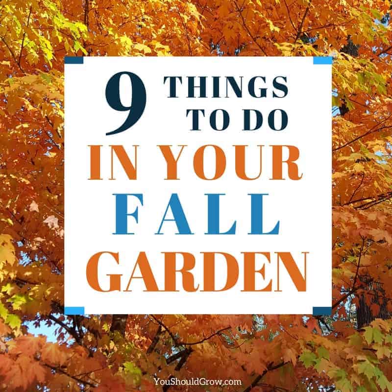 9 Fall Garden Tasks You Can’t Ignore