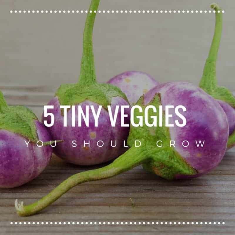 5 Tiny Veggies You Should Grow