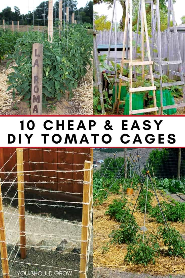 10 Ideas For Homemade Tomato Cages (Cheap & Easy) You Should Grow