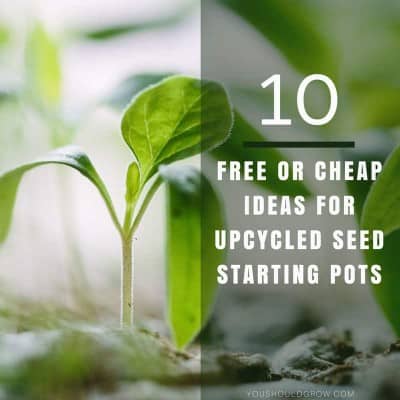 10 Free or Cheap Ideas For Upcycled Seed Starting Pots