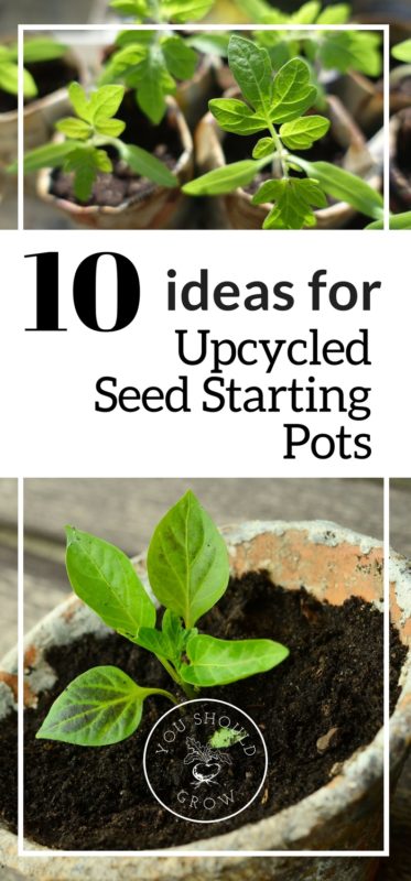 10 upcycled seed starting pots.