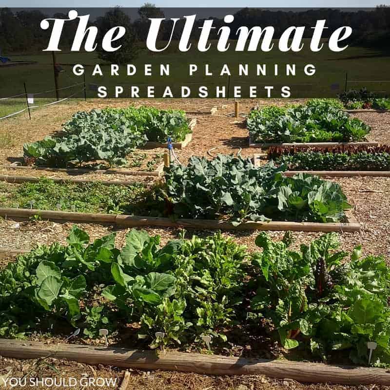 Try These Easy To Use Vegetable Garden Planning Spreadsheets