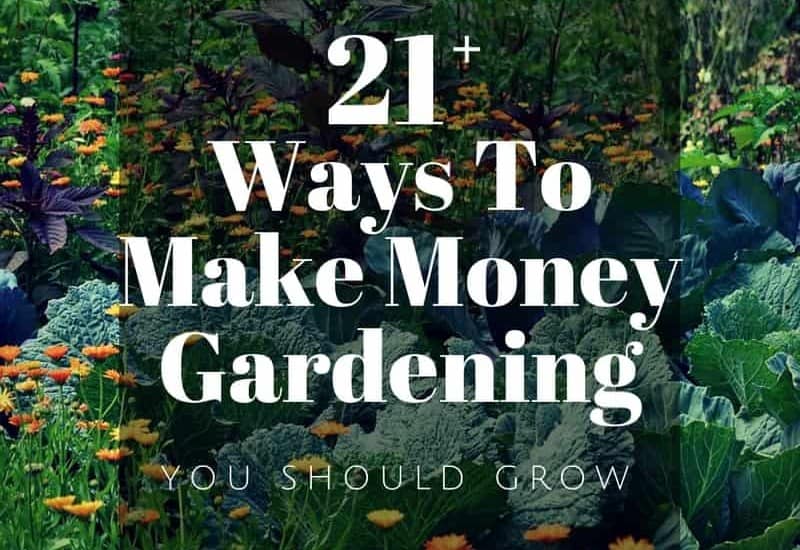 How to make money gardening. Over 20 ideas for making money from home gardening.