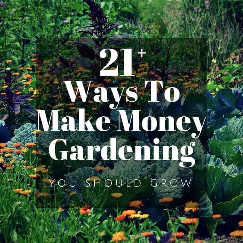 Make Money Gardening: 29 Ideas To Start Earning Now!