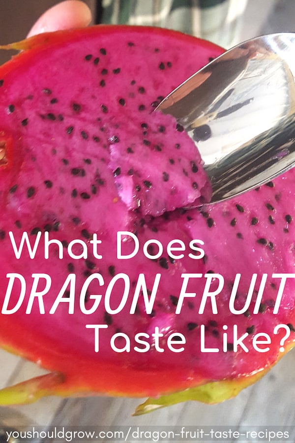 How To Eat Dragon Fruit And Bring Out Its Flavors