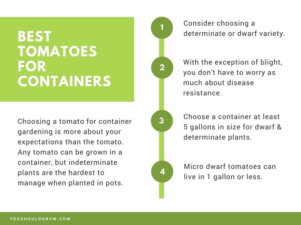 Presentation slide: best tomato varieties for containers