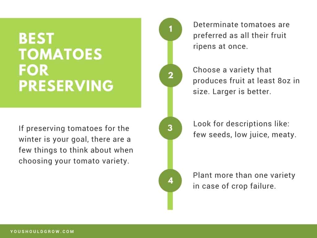 presentation slide: best tomato varieties for preserving