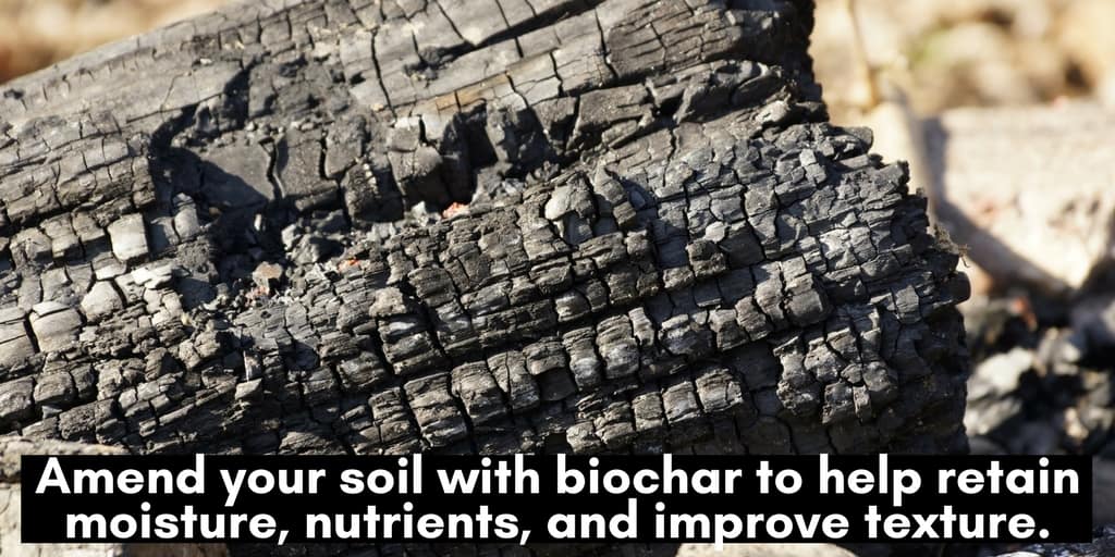 Gardening tips: Add biochar to your to improve the health and texture of your garden soil.