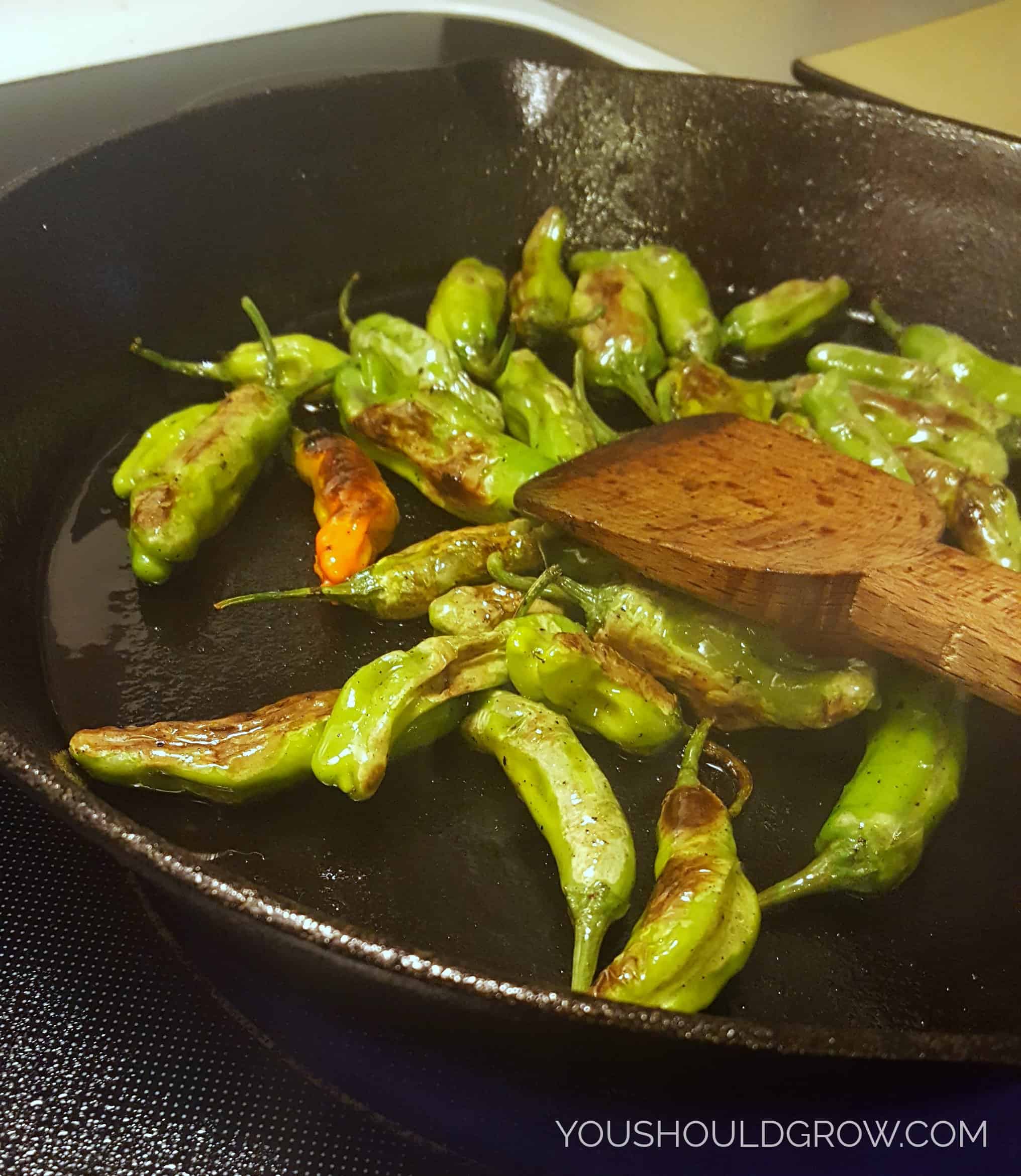 Cook whole shishito peppers over medium heat until their skin blisters.