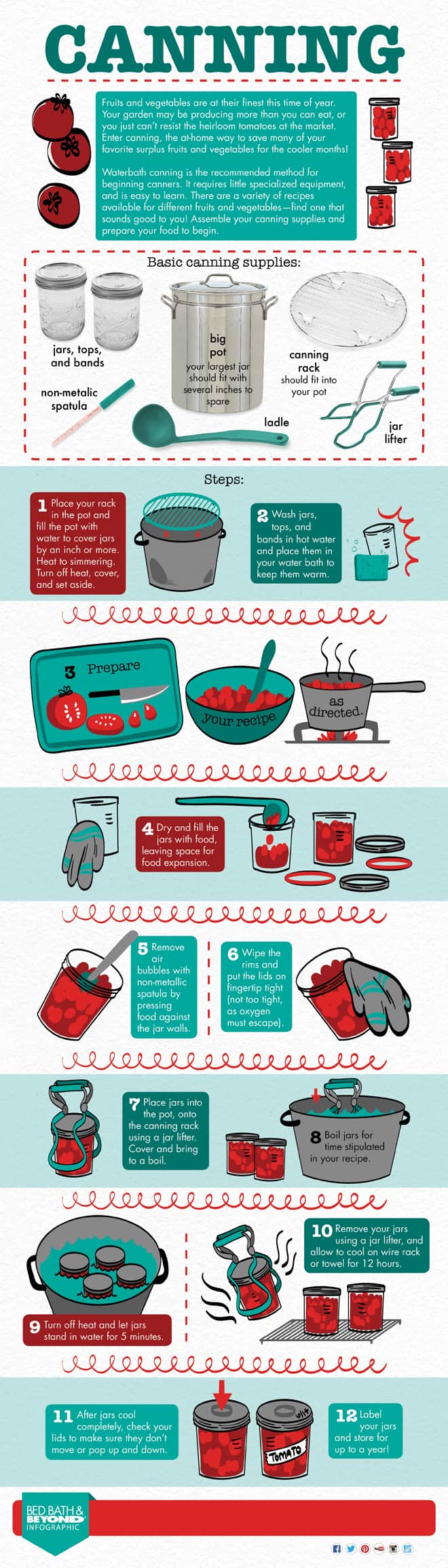 Essential canning supplies and canning basics infographic