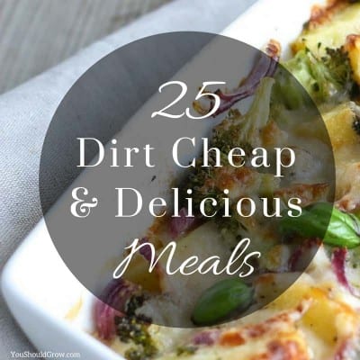 25 Dirt Cheap and Delicious Meal Ideas