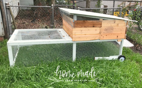 how to build a mobile chicken coop