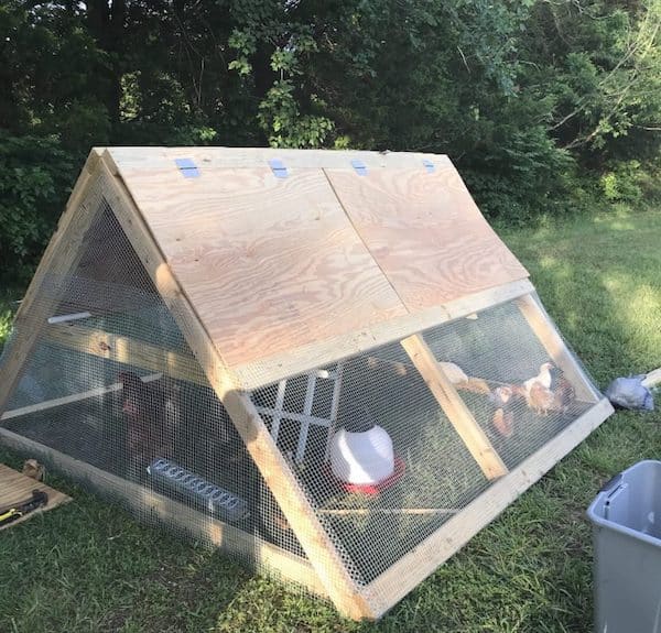 Simple a-frame chicken coop diy