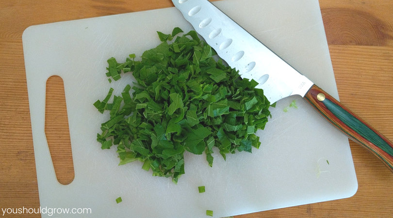 Pumpkin leaves chopped and ready for supper.