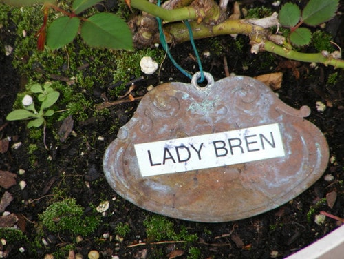 copper garden marker with label