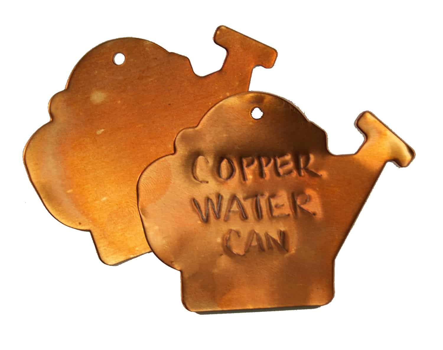 copper watering can plant tags