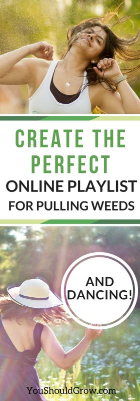 How to create the perfect song playlist for weeding with Amazon Music for prime memebers.
