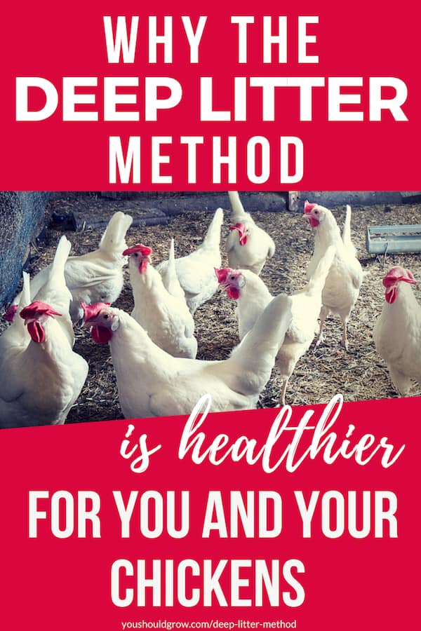 deep litter method for chicken coops2