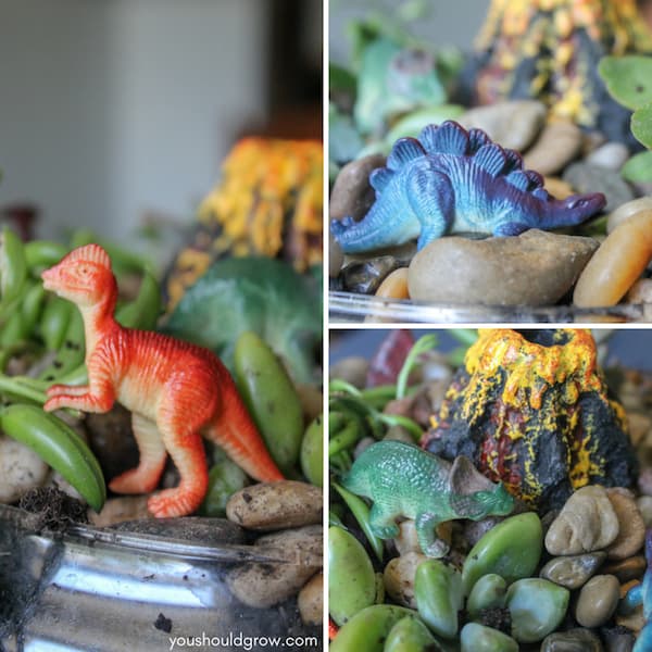 Miniature dinosaur garden diy